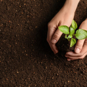 Al via il progetto ECO: conferenza stampa di lancio!