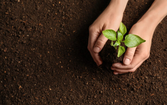 Al via il progetto ECO: conferenza stampa di lancio!