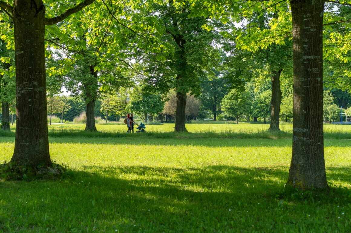 “La voce nel bosco” – Ecco il nuovo nome del parco su Colle Cimatico!