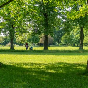 “La voce nel bosco” – Ecco il nuovo nome del parco su Colle Cimatico!