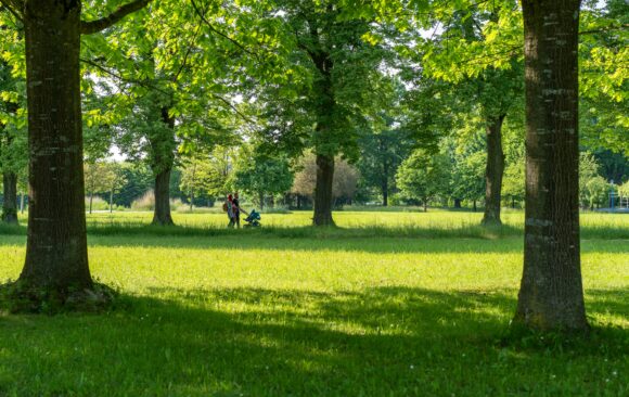 “La voce nel bosco” – Ecco il nuovo nome del parco su Colle Cimatico!
